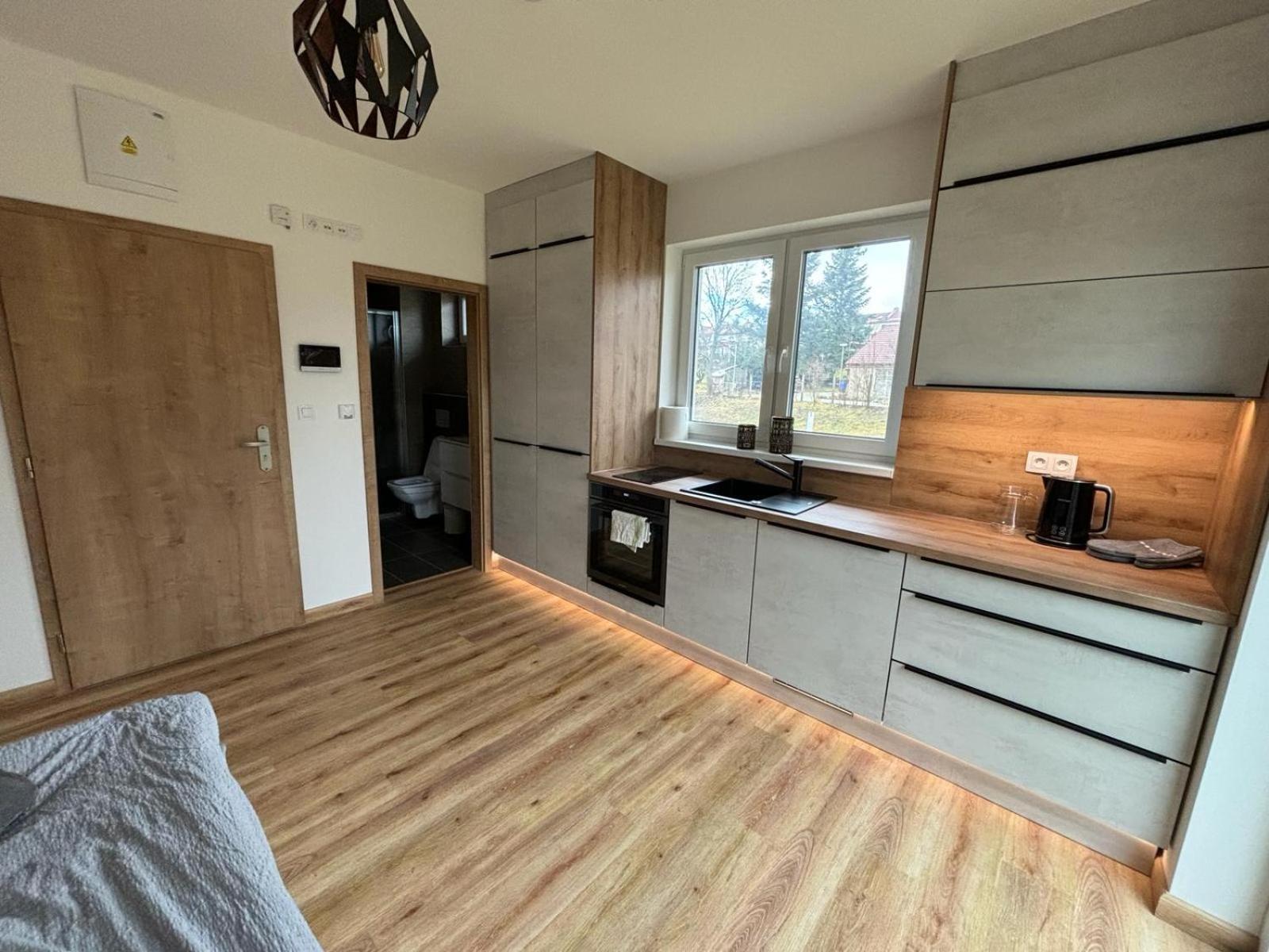 Apartmany U Plaze Lipna - Male Lipno Černá v Pošumaví المظهر الخارجي الصورة